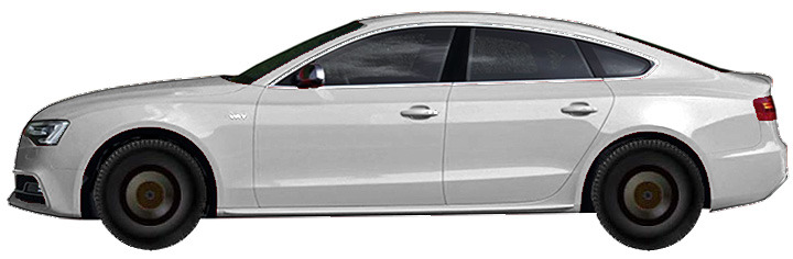  AUDI S5 В8, B81 Sportback 3.0 TFSI Quattro (2011-2016)