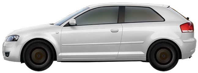  AUDI A3 8P Hatchback 3d 1.9 TDI (2003-2008)