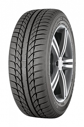   GT RADIAL Champiro WinterPro 225/55 R16 95H TL