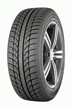   GT RADIAL Champiro WinterPro 175/65 R14 82T TL