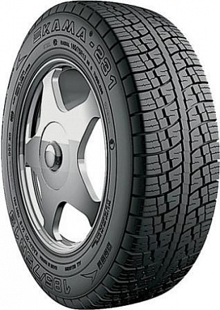 ���� ���� ���� 231